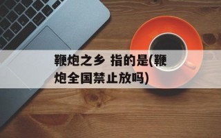 鞭炮之乡 指的是(鞭炮全国禁止放吗)