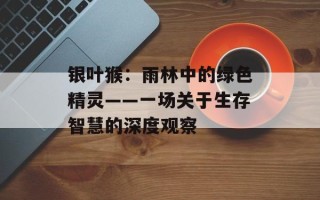 银叶猴：雨林中的绿色精灵——一场关于生存智慧的深度观察