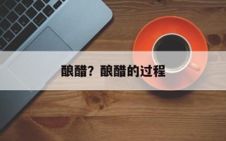 酿醋？酿醋的过程
