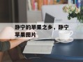 静宁的苹果之乡，静宁苹果图片