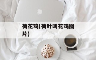 荷花鸡(荷叶叫花鸡图片)