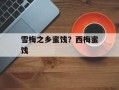 雪梅之乡蜜饯？西梅蜜饯