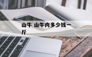 山牛 山牛肉多少钱一斤