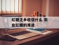 红糖之乡收获什么 农业红糖的用途