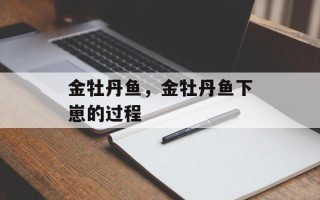 金牡丹鱼，金牡丹鱼下崽的过程