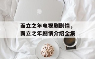 而立之年电视剧剧情，而立之年剧情介绍全集