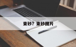束砂？束砂图片