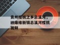 贵州樱桃之乡总溪河，纳雍维新镇总溪河樱桃视频