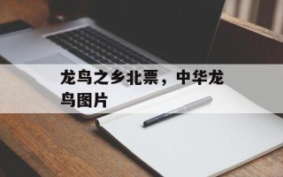 龙鸟之乡北票，中华龙鸟图片