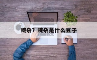 豌杂？豌杂是什么豆子