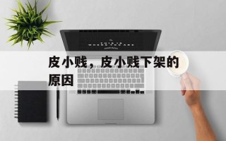 皮小贱，皮小贱下架的原因