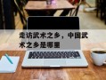 走访武术之乡，中国武术之乡是哪里