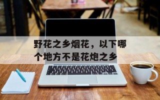 野花之乡烟花，以下哪个地方不是花炮之乡