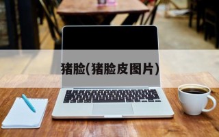 猪脸(猪脸皮图片)