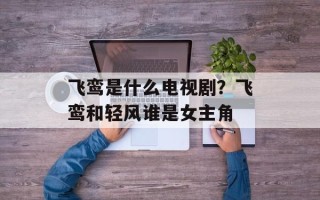 飞鸾是什么电视剧？飞鸾和轻风谁是女主角
