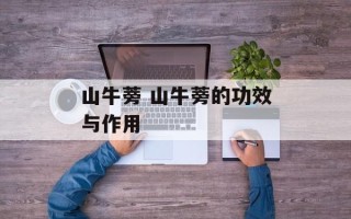 山牛蒡 山牛蒡的功效与作用