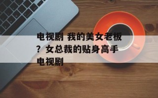 电视剧 我的美女老板？女总裁的贴身高手 电视剧