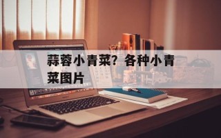 蒜蓉小青菜？各种小青菜图片