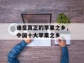 谁是真正的苹果之乡，中国十大苹果之乡