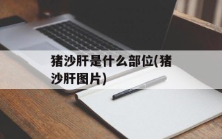 猪沙肝是什么部位(猪沙肝图片)