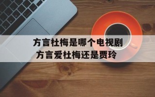 方言杜梅是哪个电视剧 方言爱杜梅还是贾玲