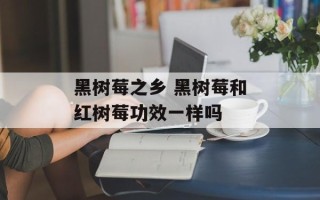 黑树莓之乡 黑树莓和红树莓功效一样吗
