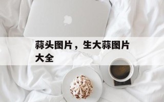 蒜头图片，生大蒜图片大全