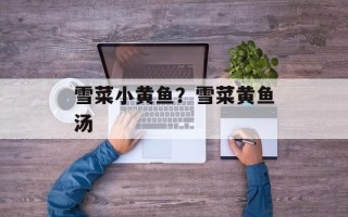 雪菜小黄鱼？雪菜黄鱼汤