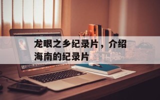龙眼之乡纪录片，介绍海南的纪录片