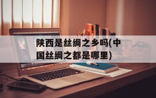陕西是丝绸之乡吗(中国丝绸之都是哪里)