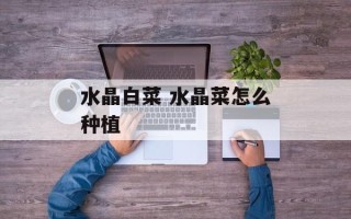 水晶白菜 水晶菜怎么种植