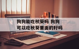 狗狗能吃秋葵吗 狗狗可以吃秋葵里面的籽吗