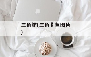 三角鲂(三角鲗鱼图片)