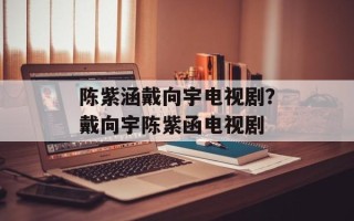 陈紫涵戴向宇电视剧？戴向宇陈紫函电视剧