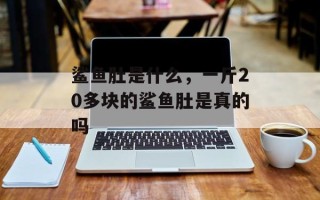 鲨鱼肚是什么，一斤20多块的鲨鱼肚是真的吗