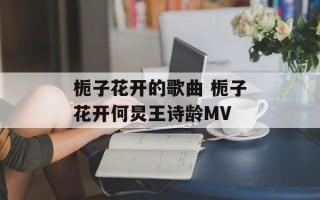 栀子花开的歌曲 栀子花开何炅王诗龄MV