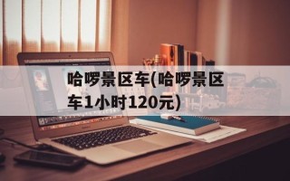哈啰景区车(哈啰景区车1小时120元)