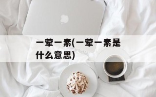 一荤一素(一荤一素是什么意思)