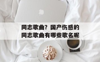 同志歌曲？国产伤感的同志歌曲有哪些歌名呢
