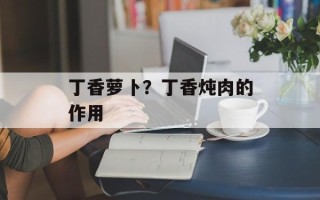 丁香萝卜？丁香炖肉的作用