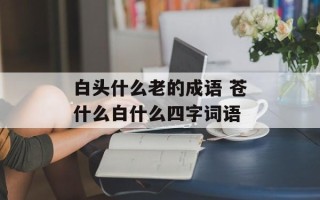 白头什么老的成语 苍什么白什么四字词语