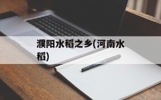 濮阳水稻之乡(河南水稻)