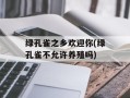 绿孔雀之乡欢迎你(绿孔雀不允许养殖吗)