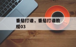 番茄打谱，番茄打谱教程03