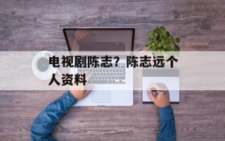 电视剧陈志？陈志远个人资料