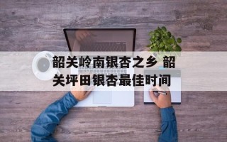韶关岭南银杏之乡 韶关坪田银杏最佳时间