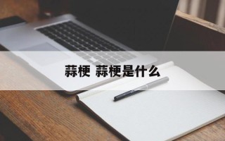 蒜梗 蒜梗是什么