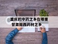 重庆的中药之乡在哪里 甘肃陇西药材之乡