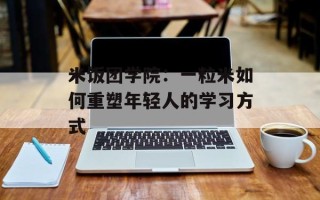 米饭团学院：一粒米如何重塑年轻人的学习方式