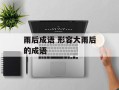 雨后成语 形容大雨后的成语